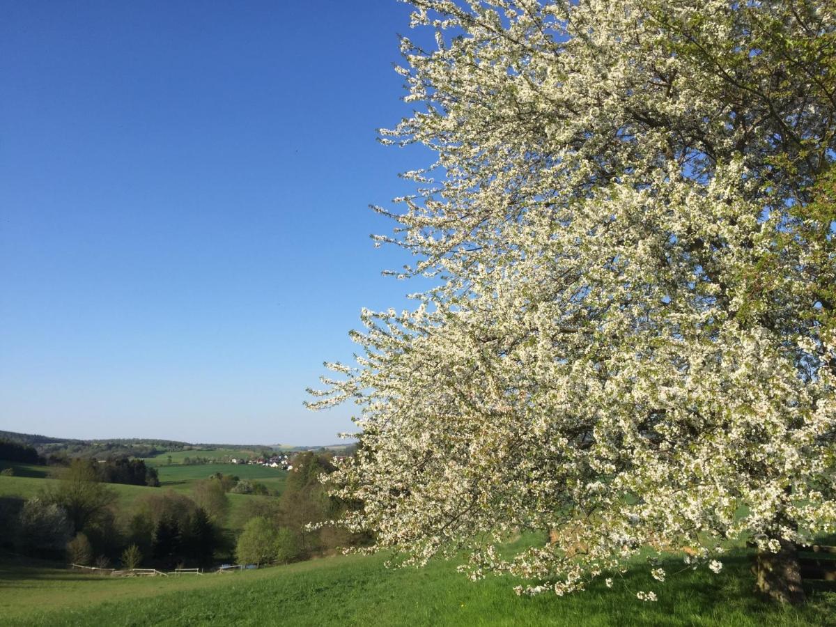 Landhotel Lortz Reichelsheim エクステリア 写真